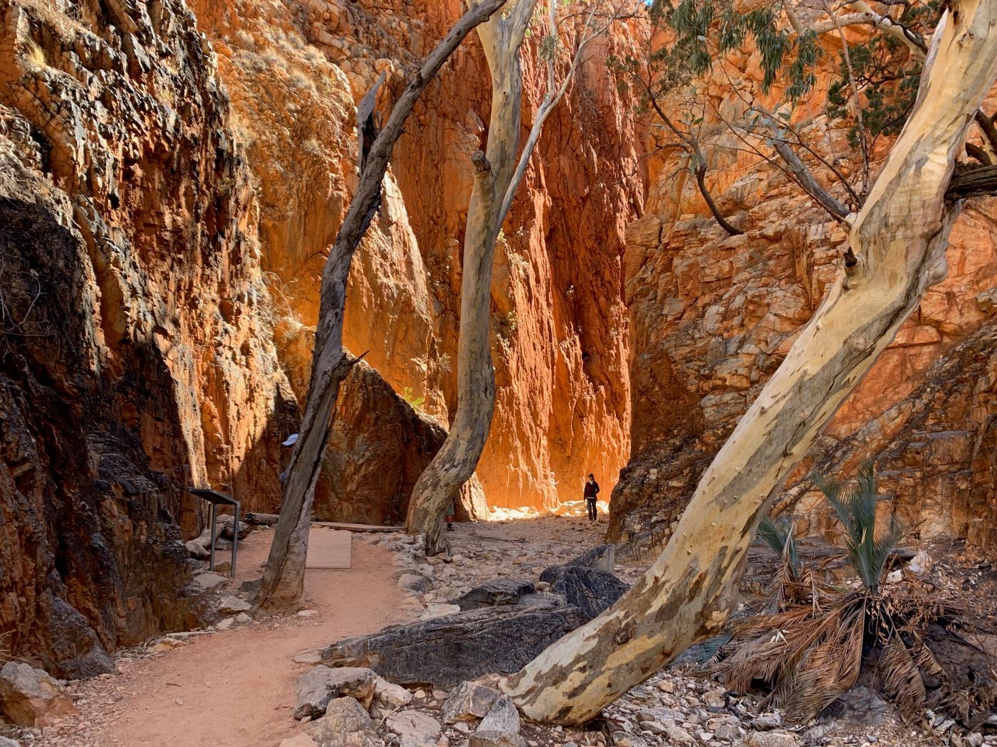 Hiker in Standley Chasm.jpg